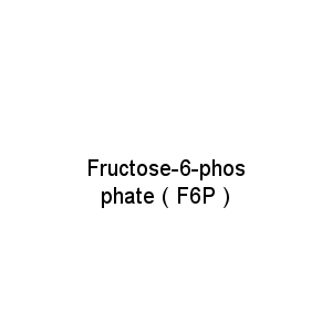 Fructose-6-phosphate ( F6P )